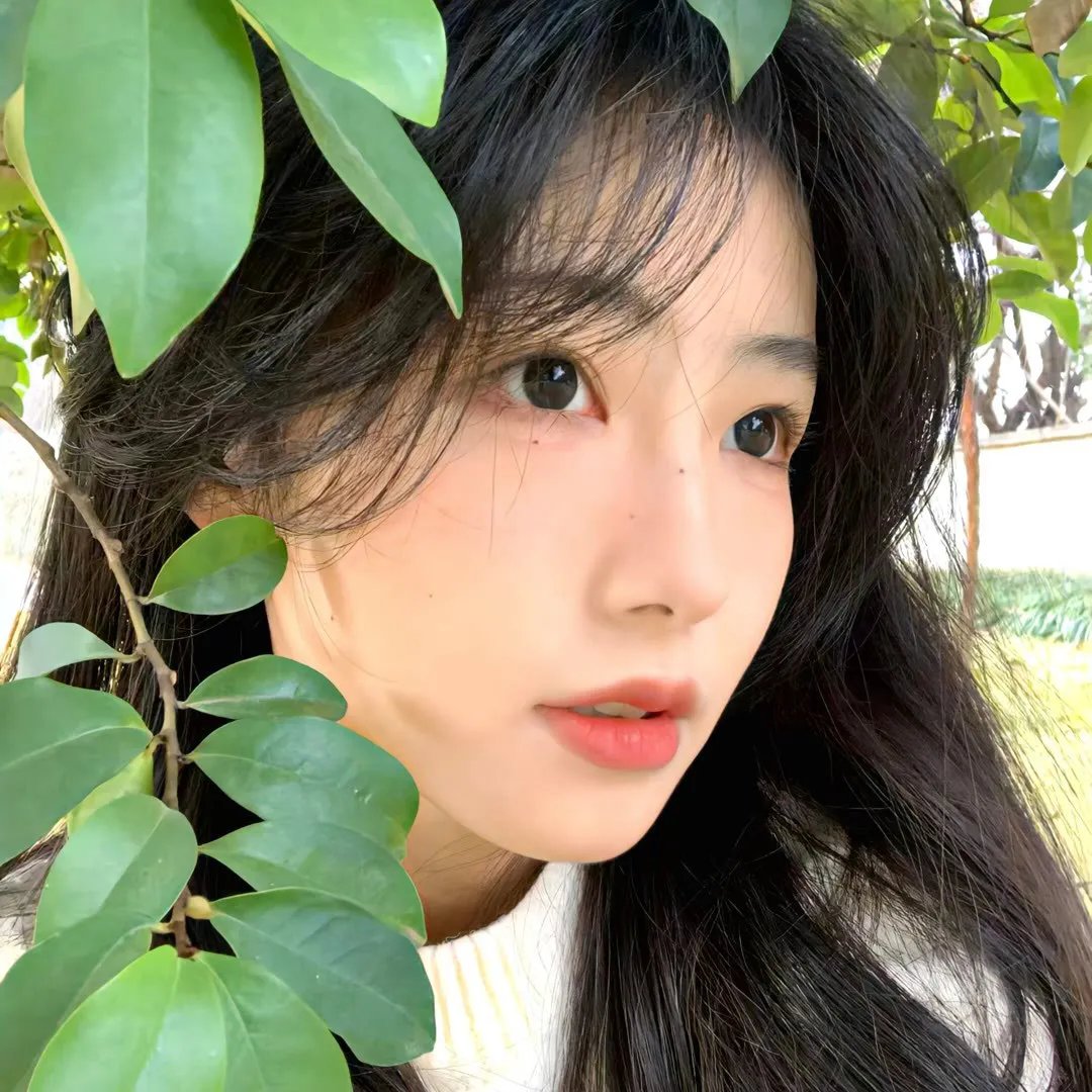 归 乡