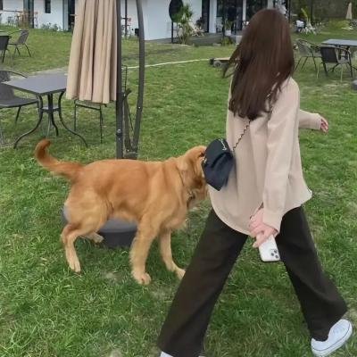 杂技狂人